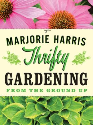 Cover of the book Thrifty Gardening by Erin Moure