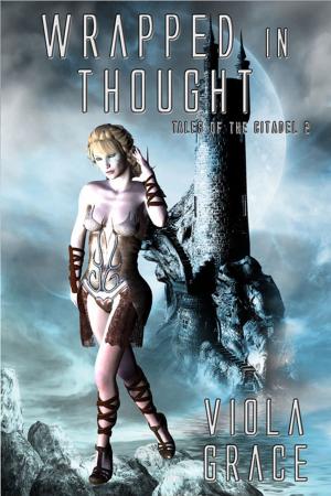 Cover of the book Wrapped in Thought by Katie Cross