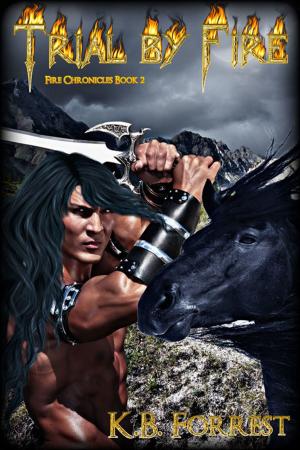 Cover of the book Trial by Fire by M. Garnet