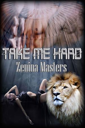 Cover of the book Take Me Hard by Douglas Daech