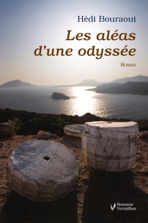 Cover of the book Les aléas d'une odyssée by Andrée Christensen, Jacques Flamand