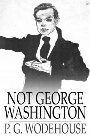 Cover of the book Not George Washington by James Lane Allen