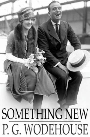 Cover of the book Something New by Honore de Balzac