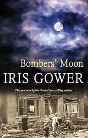 bigCover of the book Bombers' Moon by 