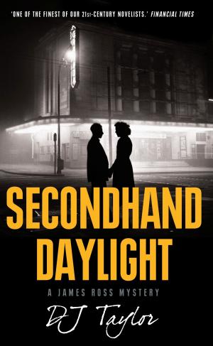 Cover of the book Secondhand Daylight by Kate Ellis