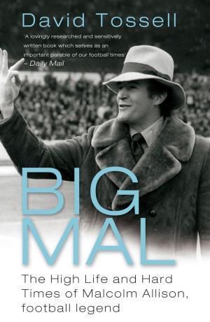 Cover of the book Big Mal by Jan de Vries