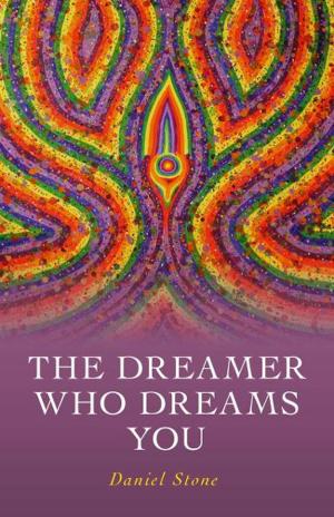 Cover of the book The Dreamer Who Dreams You by Llyn Roberts