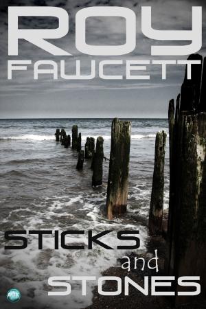Cover of the book Sticks and Stones by JudyBee