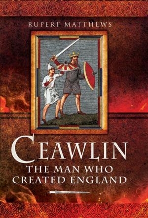 Cover of the book Ceawlin by Andy Saunders