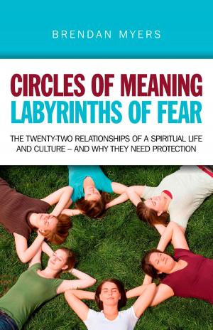 Book cover of Circles of Meaning, Labyrinths of Fear