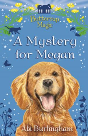 Cover of the book A Mystery for Megan by A. R. Curtis