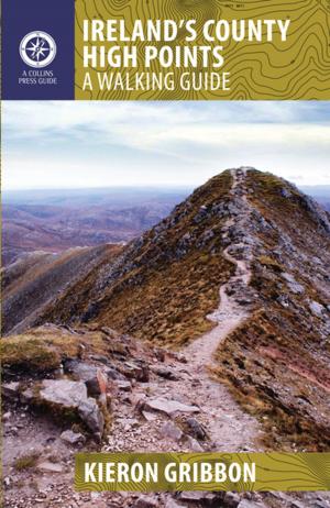 Cover of the book Ireland's County High Points by Philly McMahon