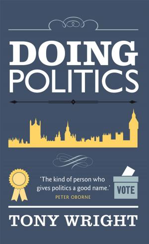 Cover of the book Doing Politics by Tom Quinn