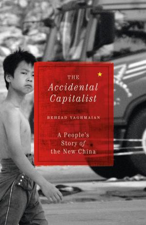 Cover of the book The Accidental Capitalist by 