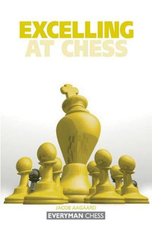 Cover of the book Excelling at Chess by Boris Gulko and Dr. Joel R. Sneed