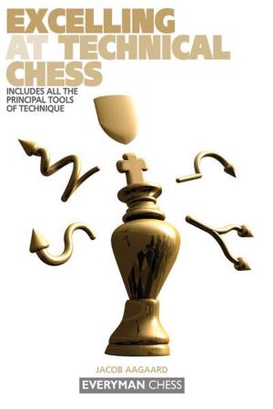 Cover of the book Excelling at Technical Chess by Garry Kasparov