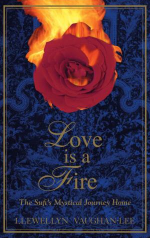 Cover of the book Love Is a Fire by Llewellyn Vaughan-Lee, Sandra Ingerman, Joanna Macy, Thich Nhat Hanh, Bill Plotkin, Father Richard Rohr, Vandana Shiva, Brian Swimme, Mary Tucker, Wendell Berry