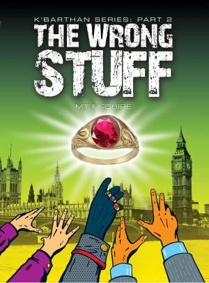 Cover of the book The Wrong Stuff by Ciara Ballintyne