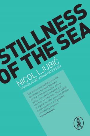 Cover of the book Stillness of the Sea by Jim Sillars
