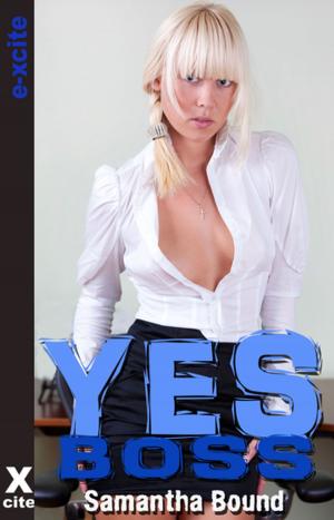 Cover of the book Yes Boss by Teri Trojan