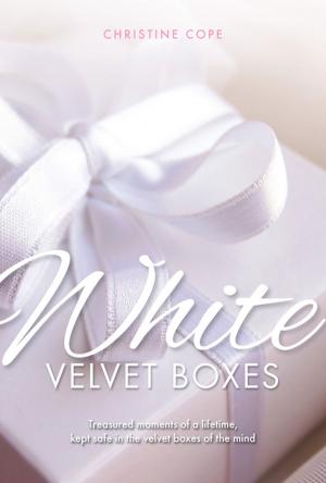 Cover of the book White Velvet Boxes by Jim Emerton