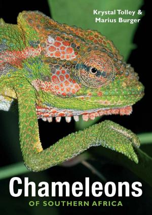 Cover of the book Chameleons of Southern Africa by Gareth Patterson