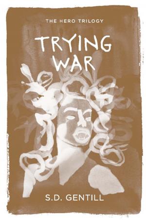 Cover of the book Trying War by Melanie Casey