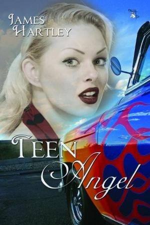 Cover of the book Teen Angel by Troy H. Gardner