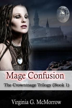 Cover of the book Mage Confusion by Heather Fraser Brainerd