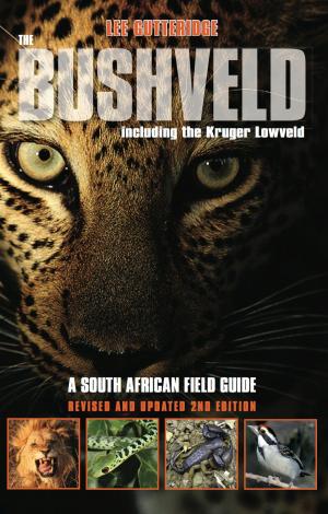 Cover of the book The Bushveld 2nd Ed. by Bror MacDonell