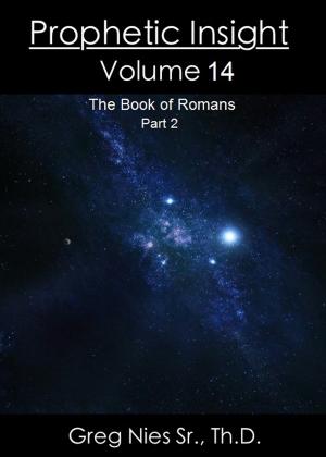 bigCover of the book Prophetic Insight Volume 14 by 
