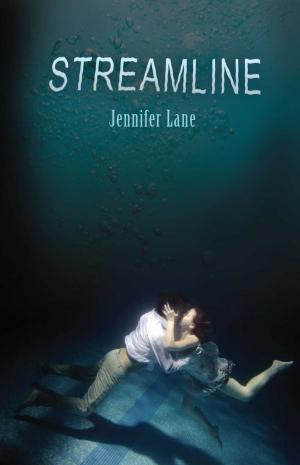 Cover of the book Streamline by Beck Anderson