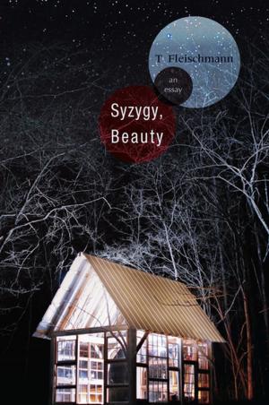 Cover of the book Syzygy, Beauty by Rachel Z Arndt