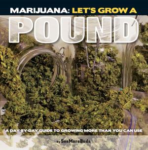 Cover of the book Marijuana: Let's Grow a Pound by Ed Rosenthal