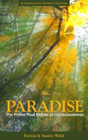 Book cover of Paradise The Prime Real Estate of Consciousness