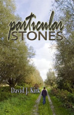 Book cover of Particular Stones