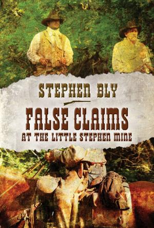 Book cover of False Claims at the Little Stephen Mine: A Stuart Brannon Novel - Book 2