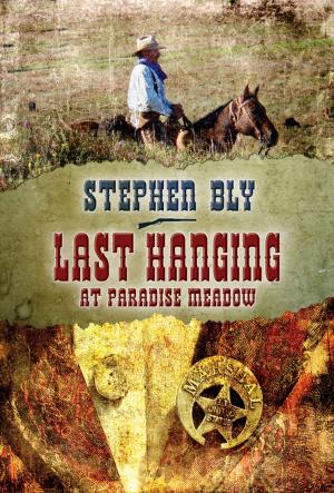 Book cover of Last Hanging at Paradise Meadow: A Stuart Brannon Novel - Book 3