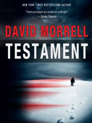Cover of the book Testament by Chris Gabrysch