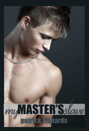 Cover of the book My Master's Slave by Charles Arnold
