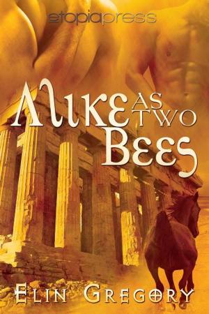 Cover of the book Alike as Two Bees by Nell DuVall