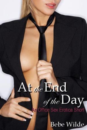Cover of the book At the End of the Day: An Office Sex Erotica Short by Kim Corum