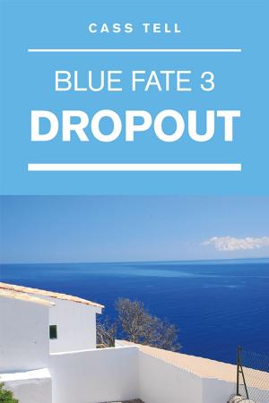 Cover of the book Dropout by Madina Del Terra Solicino