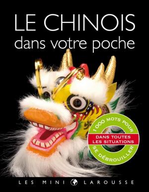 Cover of the book Le chinois dans votre poche by J. Martinez-Scholl