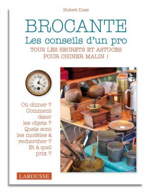 Cover of the book Brocante - les conseils d'un pro by Jean-Jacques Rousseau