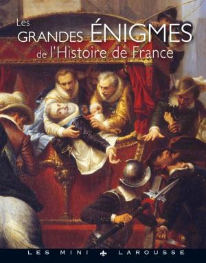 Cover of the book Les grandes énigmes de l'histoire by Géraldine Olivo