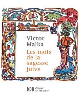 Cover of the book Les mots de la sagesse juive by Frank Andriat