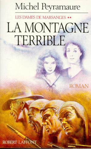 Cover of the book La montagne terrible by Ursula LE GUIN