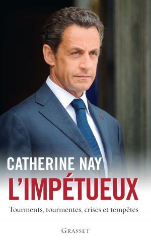Cover of the book L'impétueux by Emmanuel Roblès