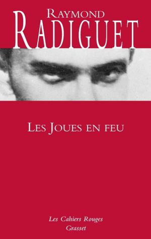 Cover of the book Les joues en feu by Elise Fontenaille